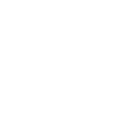 Mana Toa Volleyball banner logo
