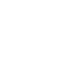 Mana Toa Volleyball banner logo